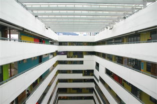 多元藝術(shù) 點(diǎn)亮香港人文情懷——輕工之美的交融與新生